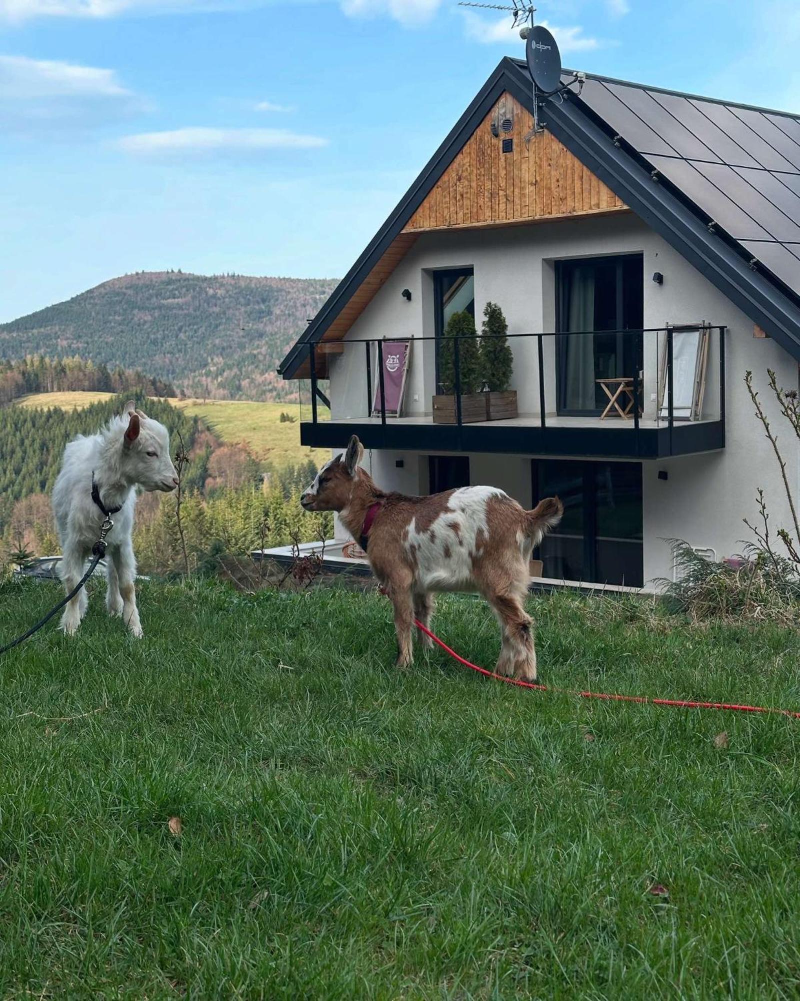Gorczanskie Zacisze Lubomierz  Exterior foto